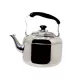 Çaynik FR-3550 dəmir 5L