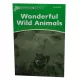 K.Dolphin Readers: Level 3:Woderful Wild Animals