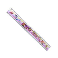 Xətkeş dəmir 30sm 2530-t